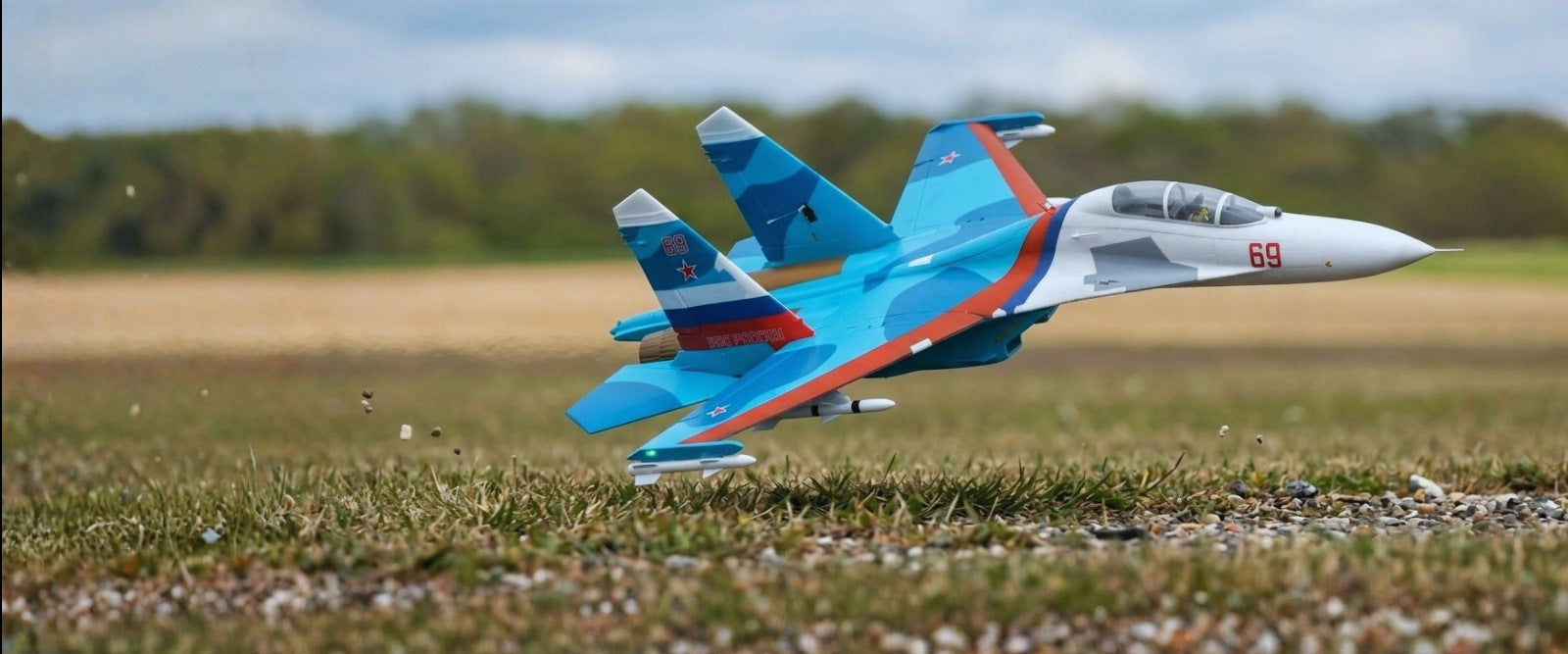 Model of a fighter jet on a grassy field with trees in the background