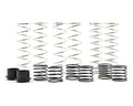 Dual Rate Spring Assortment : X-MAXX