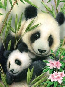 JR SMALL PBN PANDA AND BABY