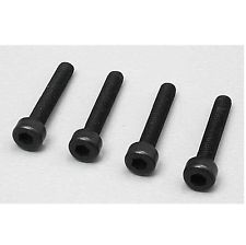 2123 SOCKET CAP SCREW 3MMX10(4