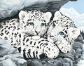 Snow Leopard Cubs Paint by Number (14"x11")