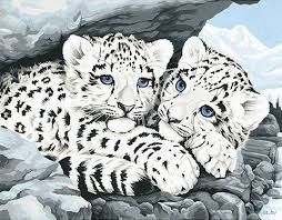 Snow Leopard Cubs Paint by Number (14"x11")