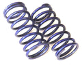 RVO5080 18lb Blue Fast On-Road Springs 2