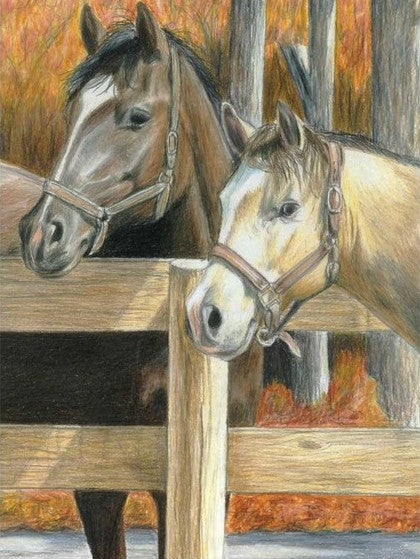 CLR PNCL BY NMBR BUCKS PAL