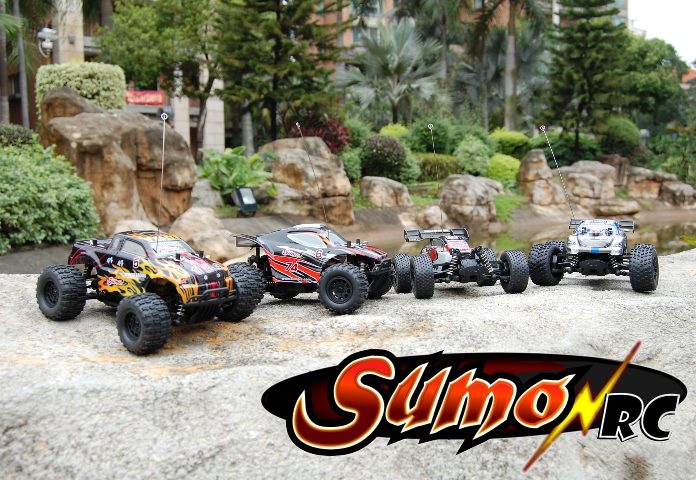 Sumo RC 1/24 Scale Truggy-black