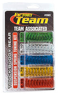 1582 TRK/BGY RE SPRING KIT(10)