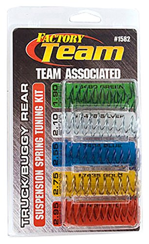 1582 TRK/BGY RE SPRING KIT(10)
