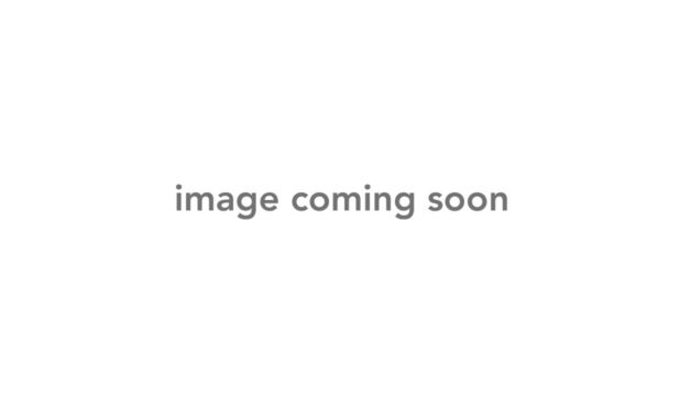 Rear Lower Chassis Brace (ARA320597)