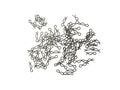 MINI BODY CLIPS (100)