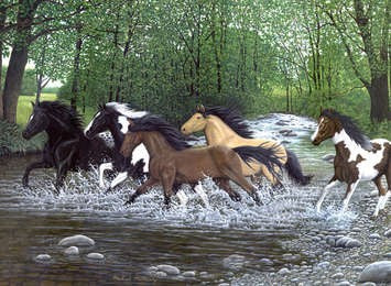Paint By Number Kit 15.375"X11.25"-Free Spirit