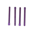 purple body posts